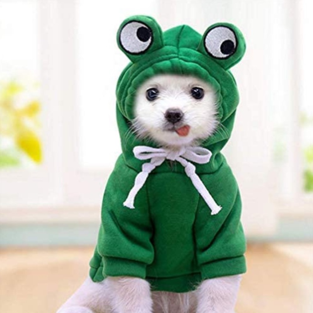 Small Dog Hoodie